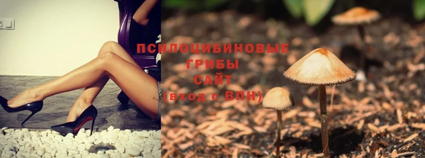 скорость Бронницы