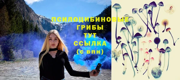 марки nbome Бородино