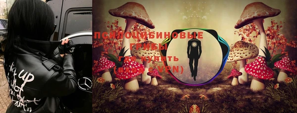 марки nbome Бородино