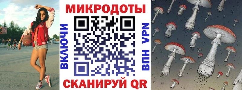 магазин  наркотиков  Мещовск  Псилоцибиновые грибы прущие грибы 